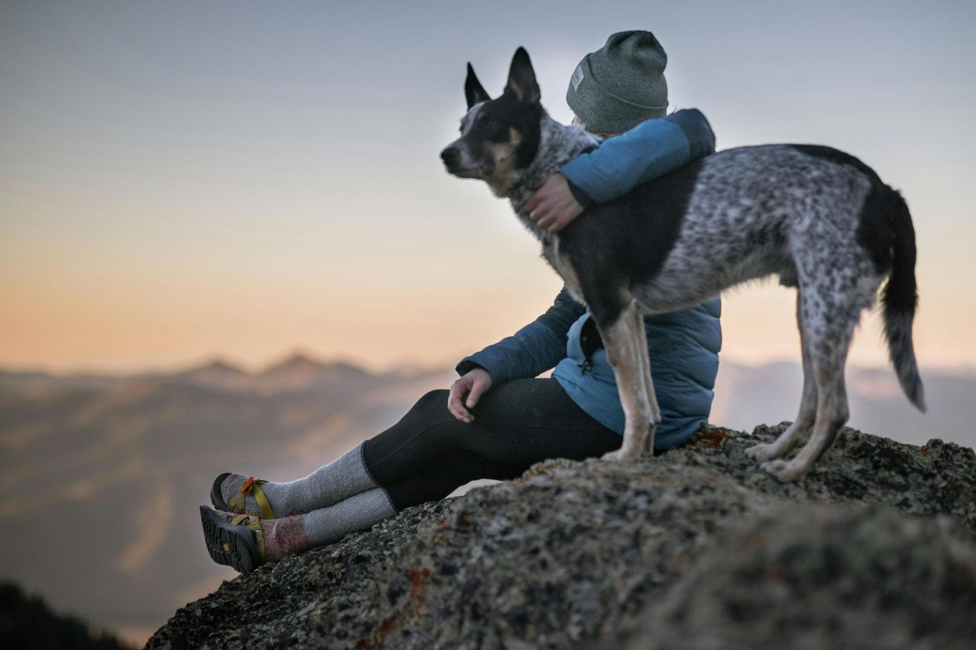 Dog & Cat Vets in Waltham